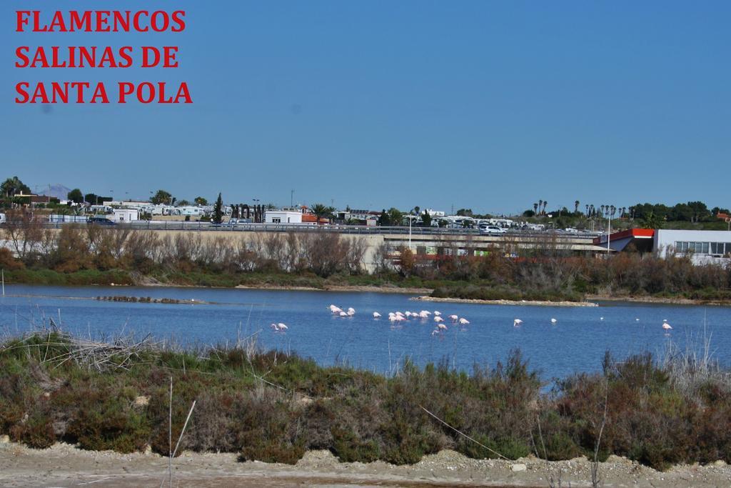 Estudio Marina De Санта-Пола Екстер'єр фото